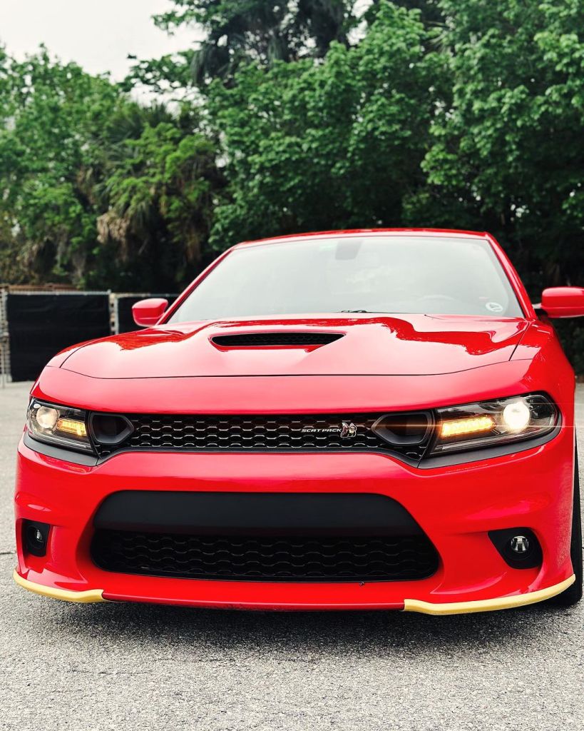 Ceramic Coating Professional Application